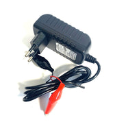 1A Krokodile Ladegerät für 12V Bleiakkus (AGM / GEL / SLA / VRLA) - 1A Krokodile Ladegerät für 12V Bleiakkus (AGM / GEL / SLA / VRLA) - #tag1#  - #tag2# - #tag1# - #tag2# - #tag3#