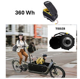 360Wh Freilauf - Tongsheng Z8 Motor-Kit 250W + Akku in Barak Tasche