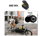 480Wh Kit 48V Tongsheng Motor TSDZ8 250 Watt mit BARAK Tasche