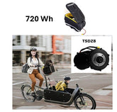720Wh Kit 48V Tongsheng Motor TSDZ8 250 Watt mit BARAK Tasche
