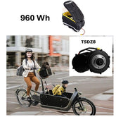960Wh Kit 48V Tongsheng Motor TSDZ8 250 Watt mit BARAK Tasche
