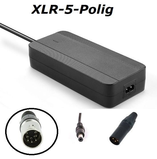 Winora TranzX replacement charger Enerpower 42V 2A 5-XLR – ENERprof