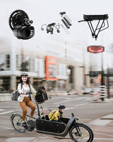 Freilauf 8 pins: Tongsheng Motor-Kit 250W + Akku 36V Nablus Akku + Gepäckträger für Cargoräder - Freilauf 8 pins: Tongsheng Motor-Kit 250W + Akku 36V Nablus Akku + Gepäckträger für Cargoräder - #tag1#  - #tag2# - #tag1# - #tag2# - #tag3#