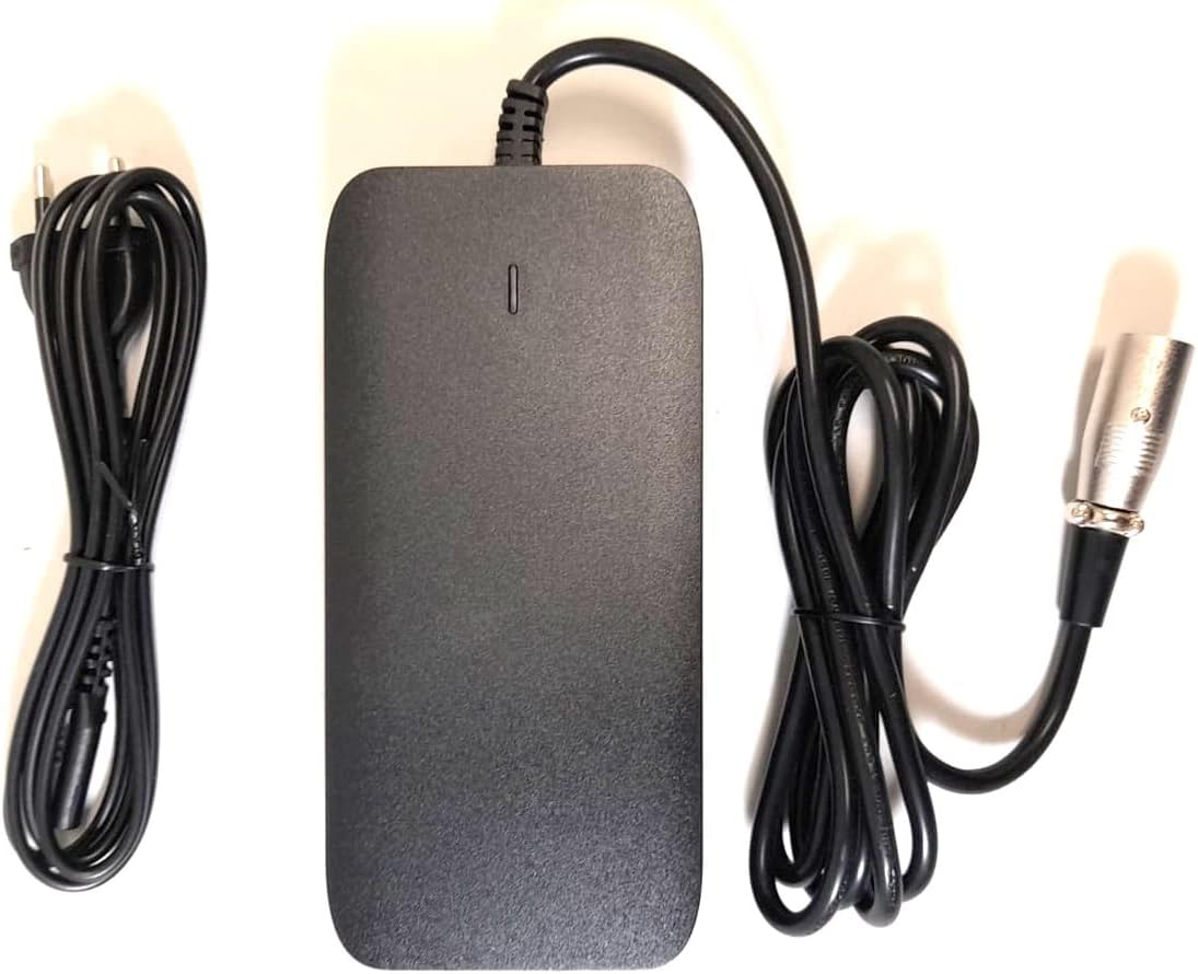 3A Enerpower 53,3V 3A Cycle-Life Ladegerät (ca. 165 Watt)