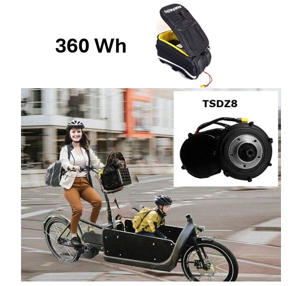 360Wh Freilauf -  Tongsheng Z8 Motor-Kit 250W + Akku in Barak Tasche