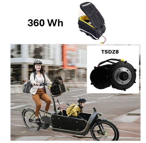 360Wh Freilauf -  Tongsheng Z8 Motor-Kit 250W + Akku in Barak Tasche