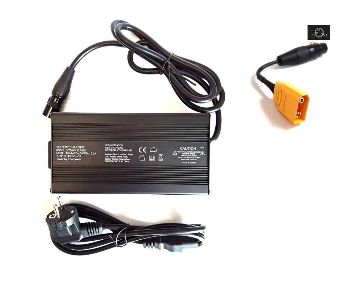 Ladegerät 43,2V 5A 210 Watt für 36V LiFePo4 Akkus Aktiver Lüfter XT-90 weiblich