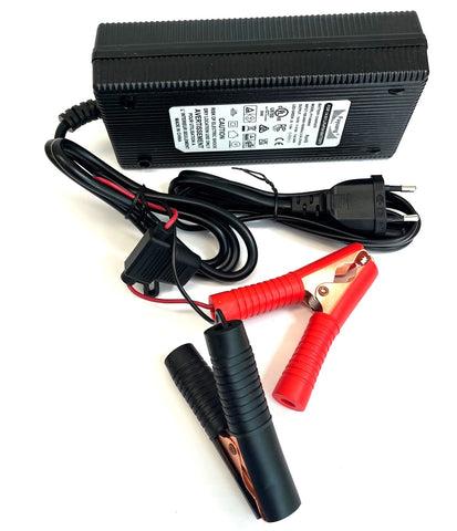 9,9A Ladegerät für 12V Akkus LiFePO4 Krokodil (150W) 4S