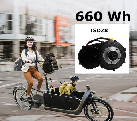 660Wh Kit 48V Tongsheng TSDZ8 Motor 250 Watt mit Hailong Pro 13,80Ah - 660Wh Kit 48V Tongsheng TSDZ8 Motor 250 Watt mit Hailong Pro 13,80Ah - #tag1#  - #tag2# - #tag1# - #tag2# - #tag3#