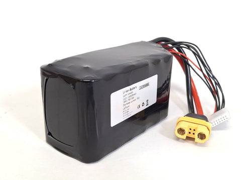 Li-Ion Drohnen Akku 15000mAh 21,6V Balancer XH2.54 (6S3P-50S) 75A