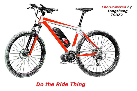 720Wh Kit 36V Tongsheng Motor 250 Watt mit Jericho 20Ah Hailong - Enerprof