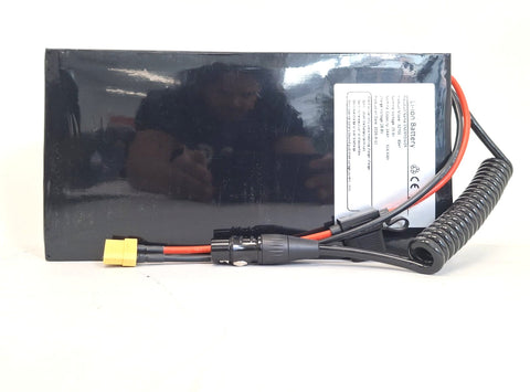 ENERpower LiFePO4 24V (25,6V) 24Ah 615Wh