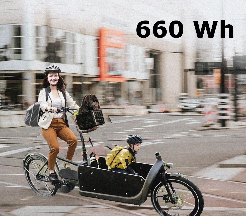 Bakfiets.nl: 660Wh Kit Tongsheng Motor-Kit 250W + Akku Hailong Pro 48V 13,8Ah Freilauf (8 Pins) - Bakfiets.nl: 660Wh Kit Tongsheng Motor-Kit 250W + Akku Hailong Pro 48V 13,8Ah Freilauf (8 Pins) - #tag1#  - #tag2# - #tag1# - #tag2# - #tag3#