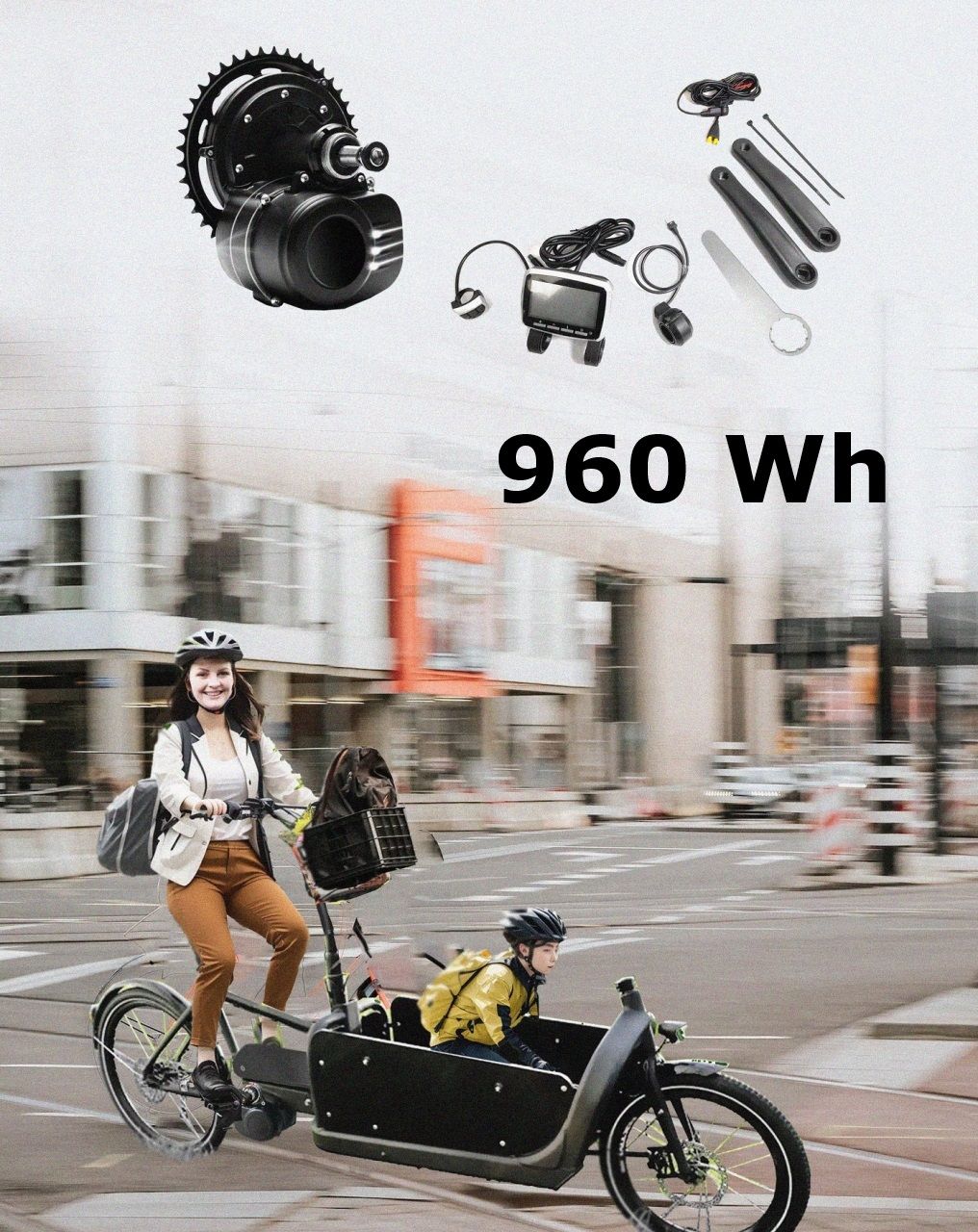 Bakfiets.nl: 960Wh Kit 48V Tongsheng 250W Mittelmotor Freilauf + Akku Hailong Megiddo 20Ah 8-Pins - Bakfiets.nl: 960Wh Kit 48V Tongsheng 250W Mittelmotor Freilauf + Akku Hailong Megiddo 20Ah 8-Pins - #tag1#  - #tag2# - #tag1# - #tag2# - #tag3#