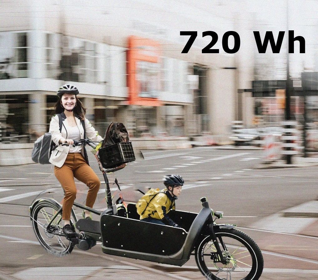 Bakfiets.nl: Tongsheng 48V 250W Mittelmotor Freilauf + Hailong Jericho 15Ah (720Wh) 6-Pins - Bakfiets.nl: Tongsheng 48V 250W Mittelmotor Freilauf + Hailong Jericho 15Ah (720Wh) 6-Pins - #tag1#  - #tag2# - #tag1# - #tag2# - #tag3#