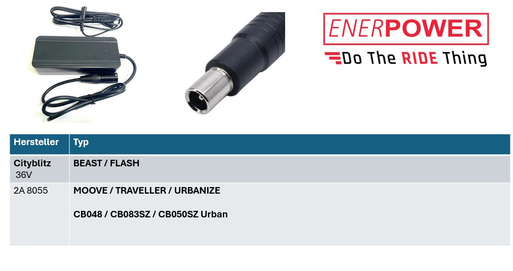 Cityblitz Enerpower Ersatzladegerät 42V 2A DC Atnen (CB, GS, UL)