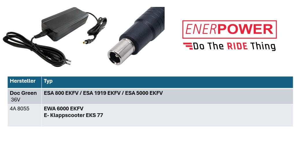 Doc Green Replacement Charger 42V 4A 170 Watt DC+