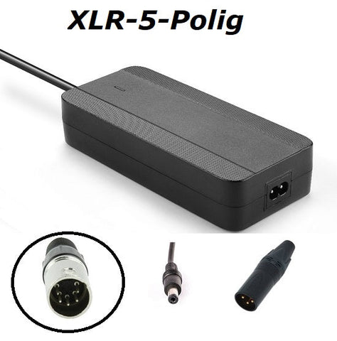Enerpower Ladegerät 42V 2A für Victoria XLR-5 - Enerpower Ladegerät 42V 2A für Victoria XLR-5 - #tag1#  - #tag2# - #tag1# - #tag2# - #tag3#