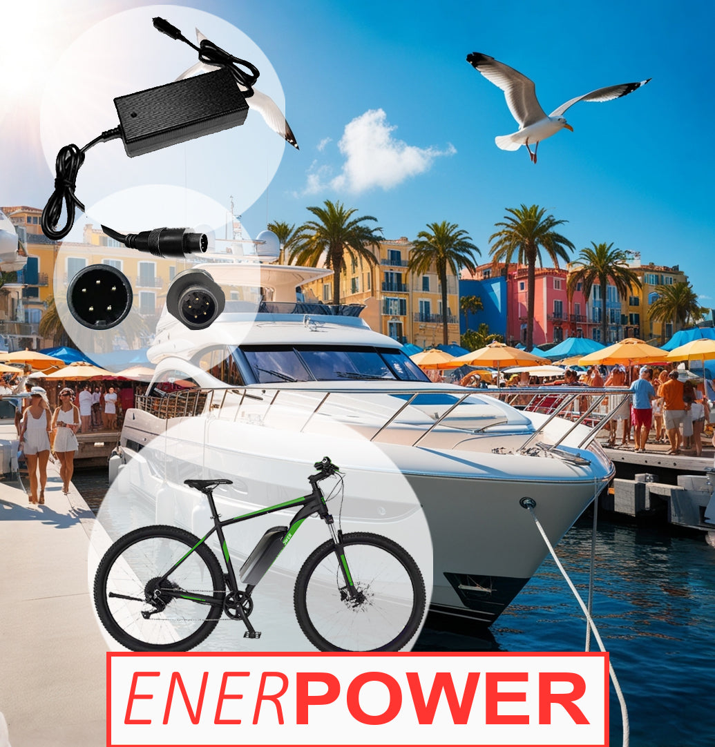 Enerpower 12V-24V DC-DC Ladegerät 42V 2A für Bergamont  E-Horizon