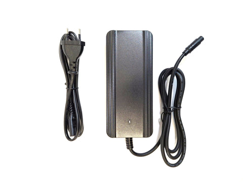 QWIC e-Largo, e-Fionna (2018-2021) replacement charger Enerpower 42V 2A