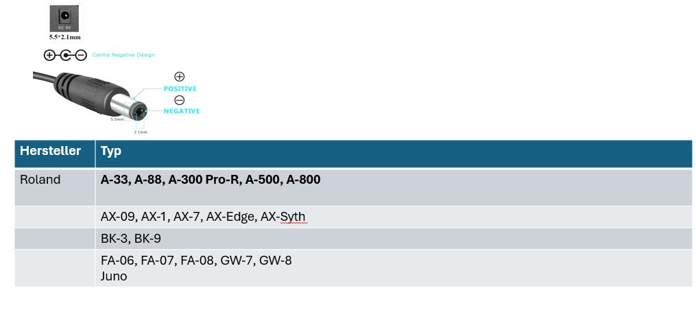 Roland Keyboard Ersatznetzteil 9V 2A Ausgang (18W) 5.5 x 2,1 mm EU (GS) - Center Positive (Plus)