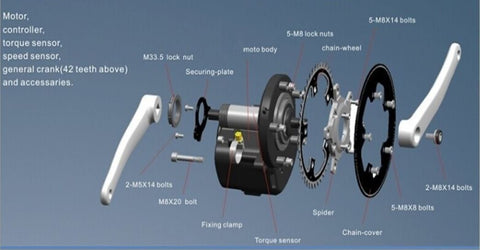 Rücktritt: Tongsheng Motor-Kit 250W + Akku 36V Gath Akku + Gepäckträger mit Rückleuchte - Enerprof