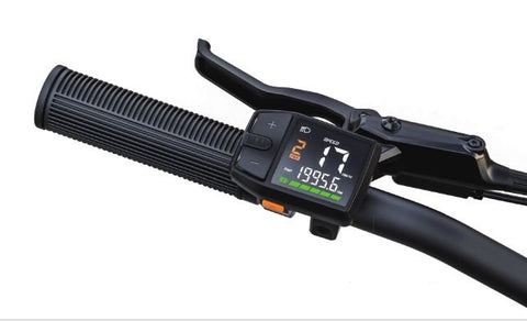 Display Enerpower DZ41 UART Tongsheng compatible 6-pins (150 cm cable)