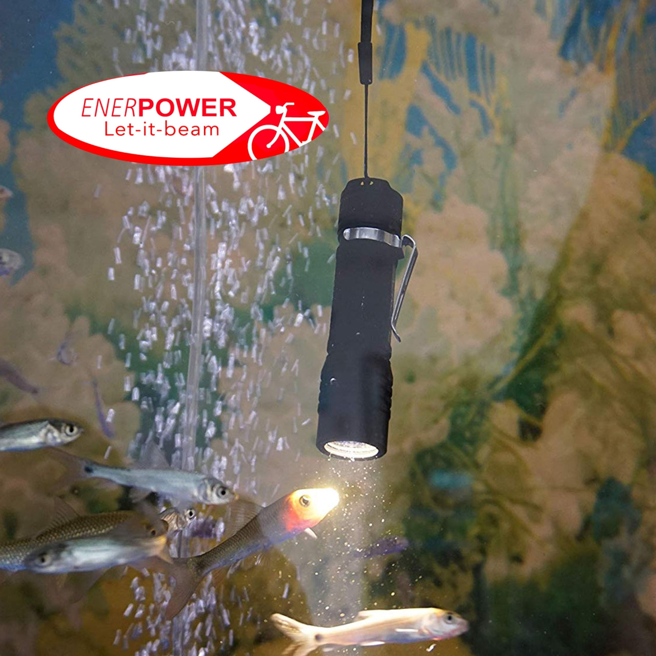ENERpower Folomov S18650 Lamp 900L + Battery + Bike Mount