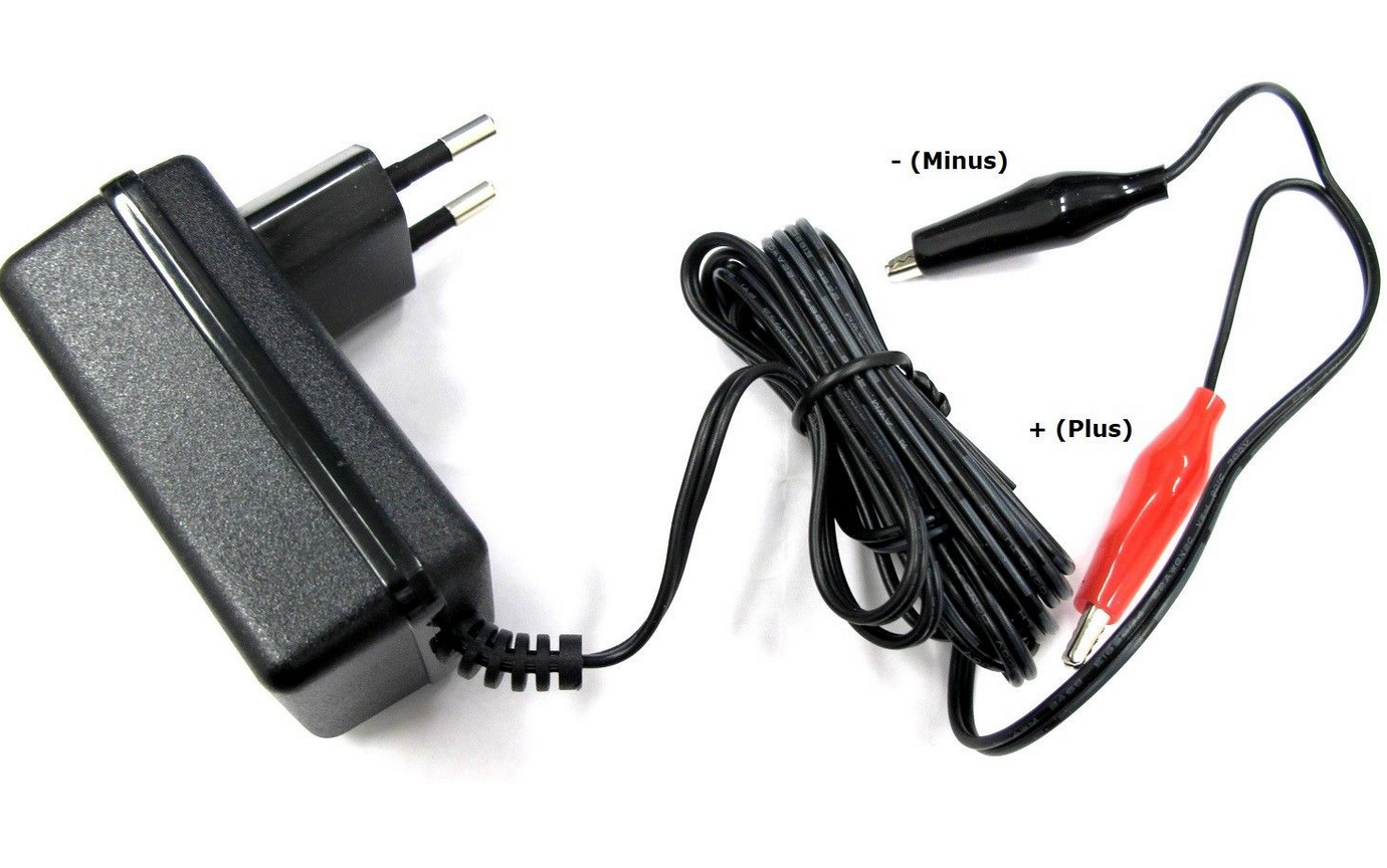 2A ENERpower Charger for 12V LiFePO4 Batteries Wall