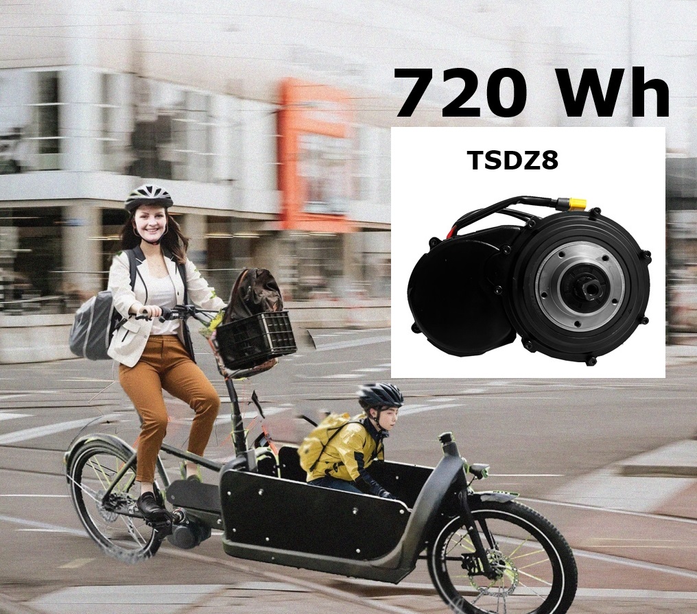 720Wh Kit 48V Tongsheng TSDZ8 Motor 250 Watt mit Jericho 15Ah Hailong   