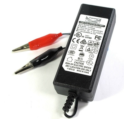 ENERpower Charger for 12V LiFePO4 Batteries 2A Crocodile Desktop