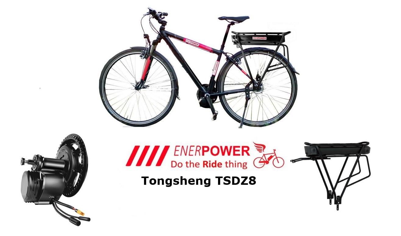 695Wh: Tongsheng Motor-Kit 250W Z8 + Akku 36V Nablus 19,20Ah mit Gepäckträger (Freilauf)