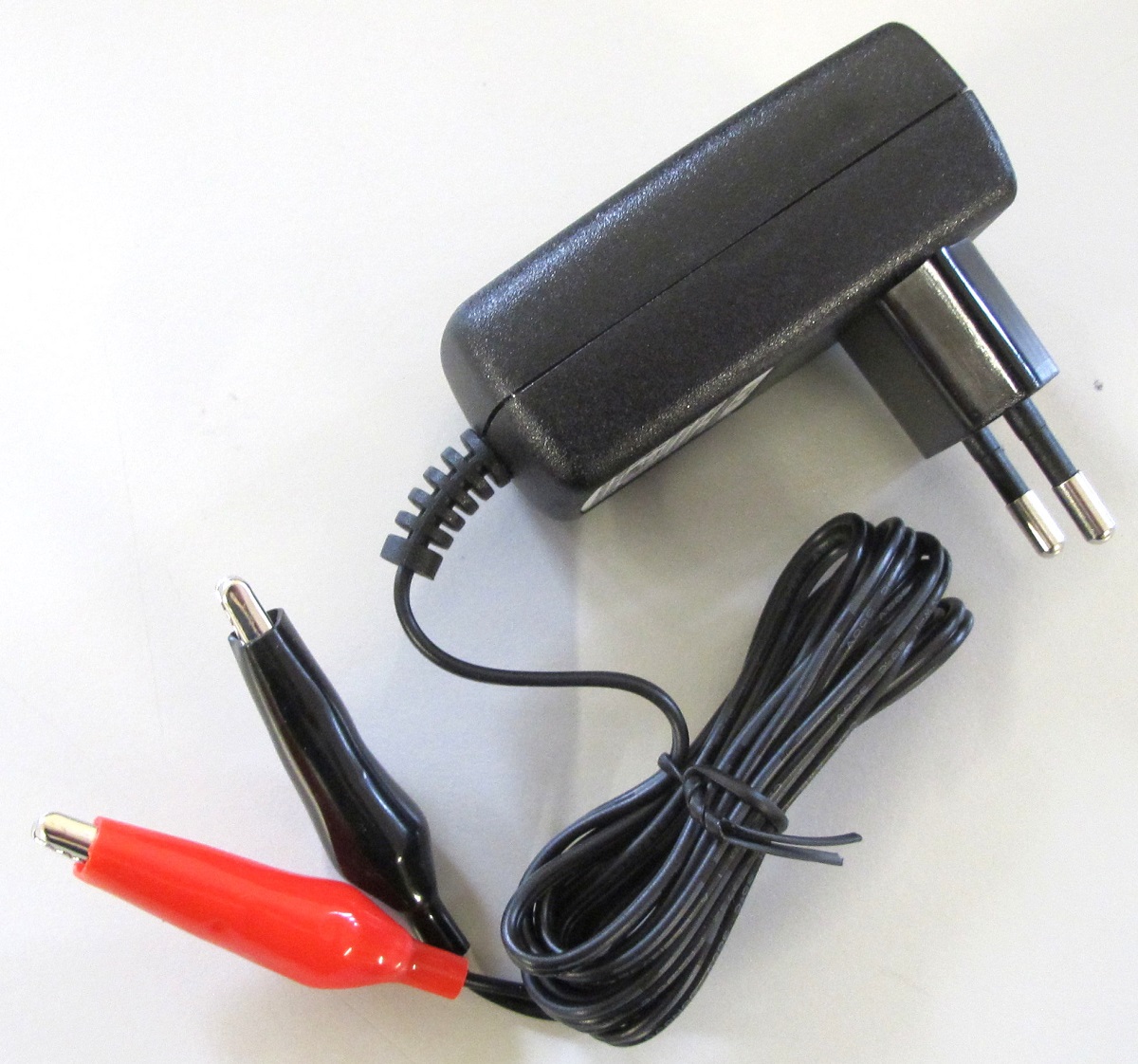 ENERpower Charger for 6V LiFePO4 Batteries 1A